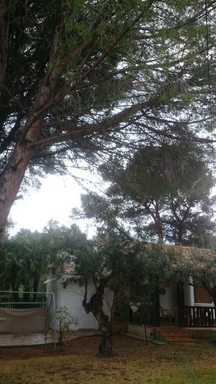 Villa Chabola Denia Exterior foto
